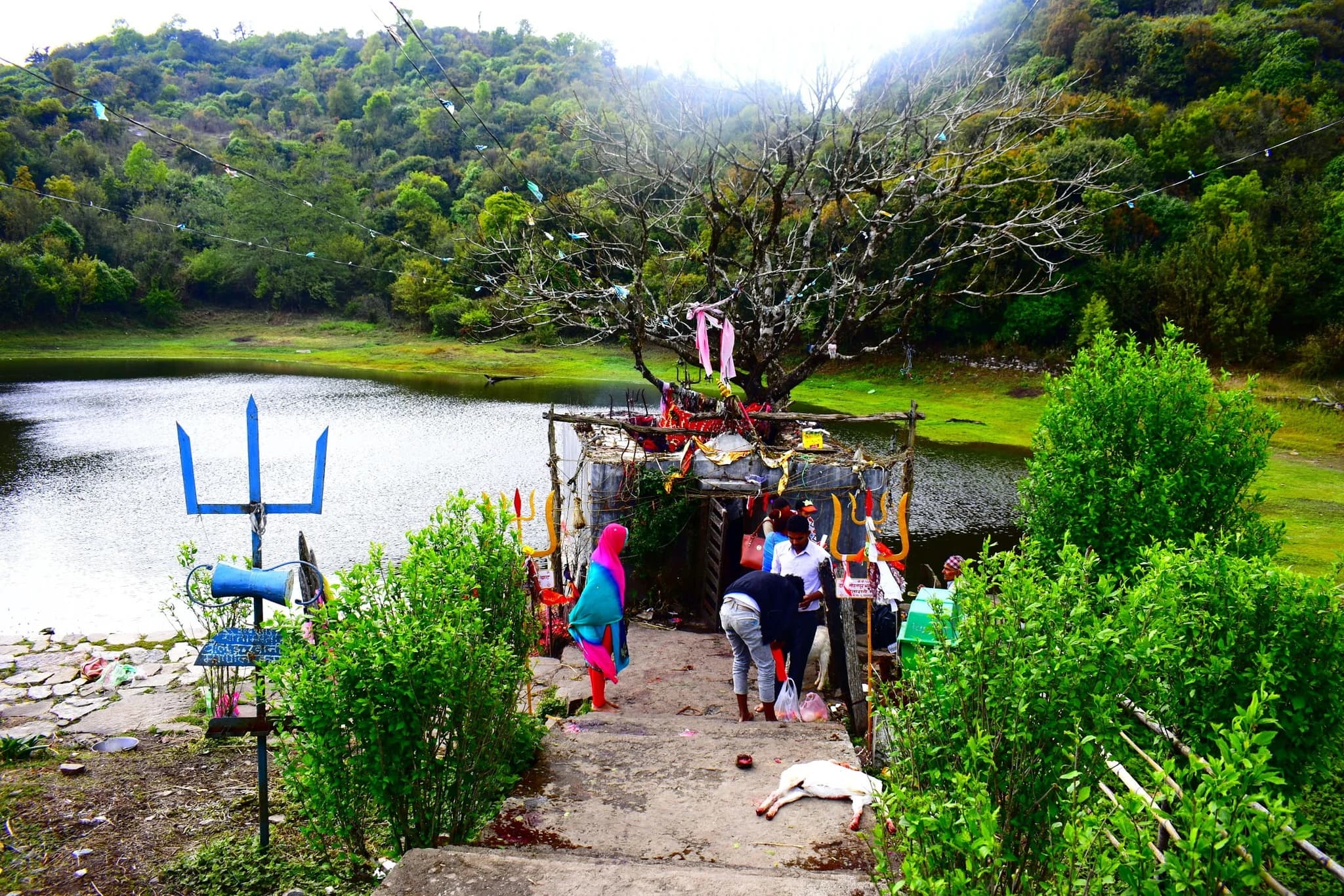 Rauta Pokhari