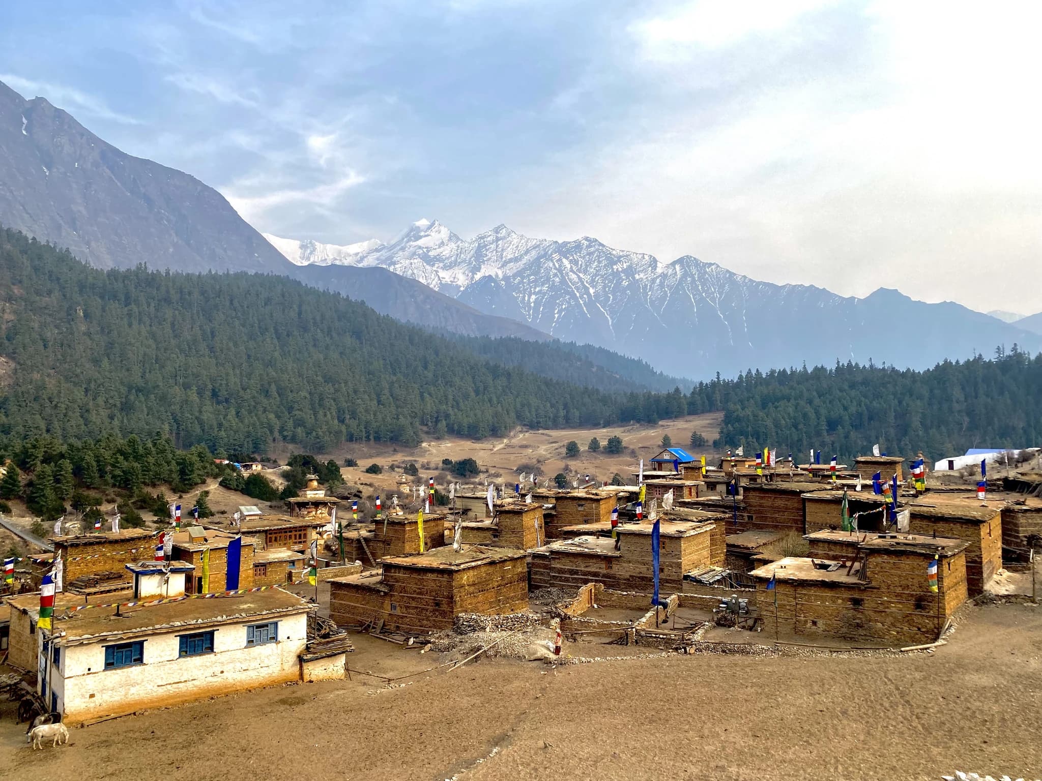 Ringmo Traditional Bön Village