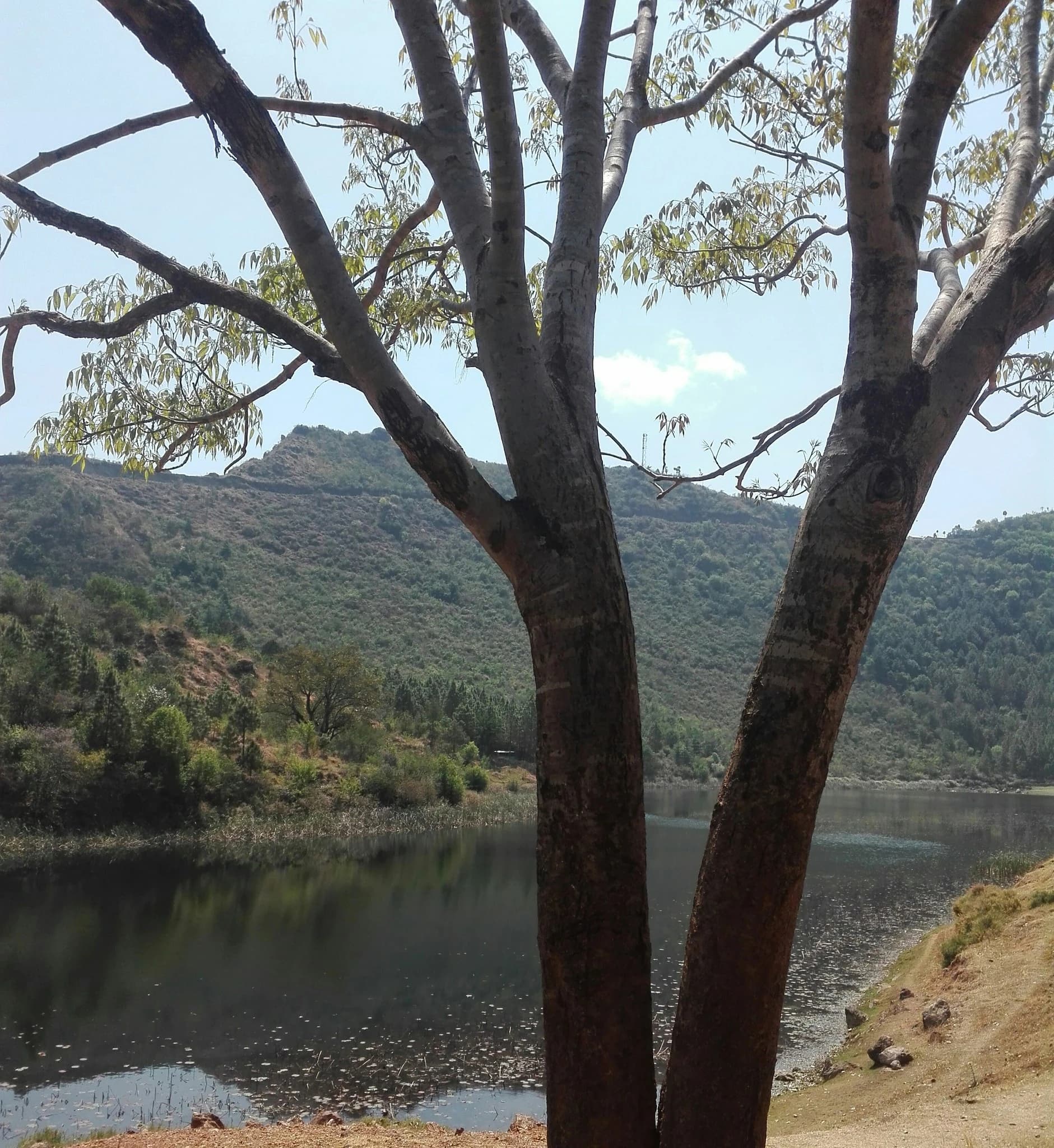 Rukmini Lake & Kamal Daha