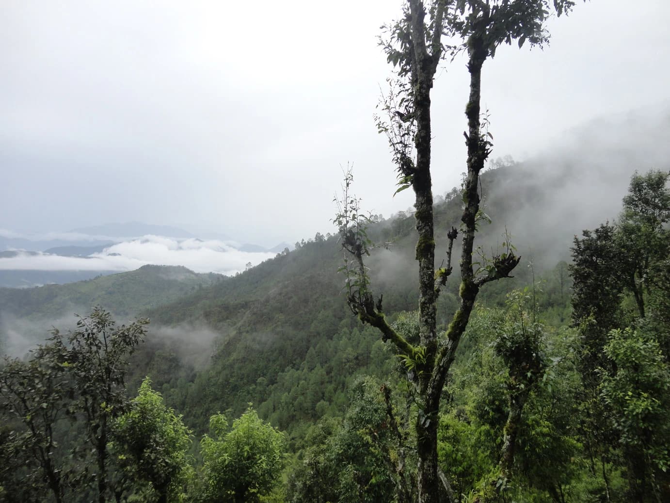 Salyan Khalanga Historic Ridge
