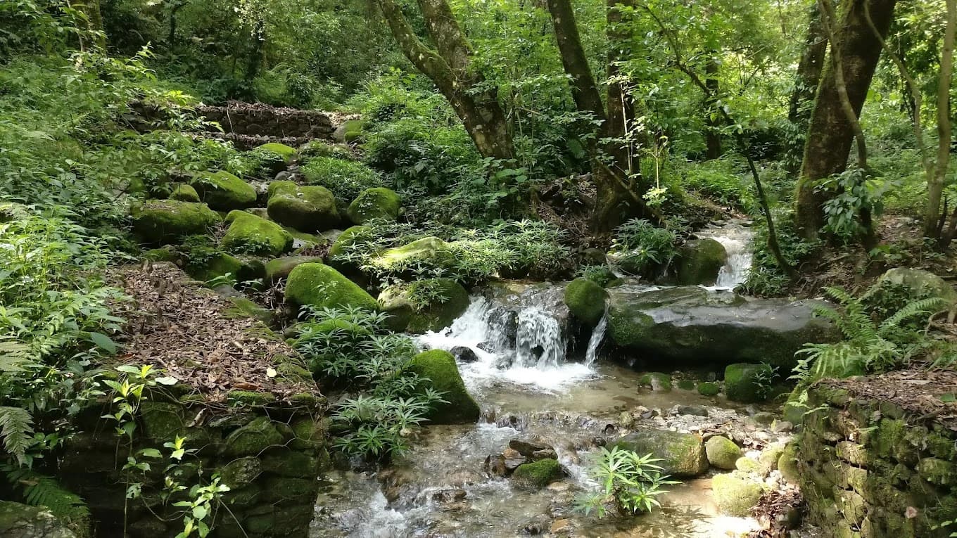 Shivapuri Nagarjun National Park