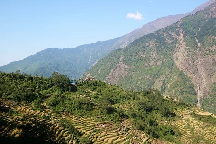 Simigaon